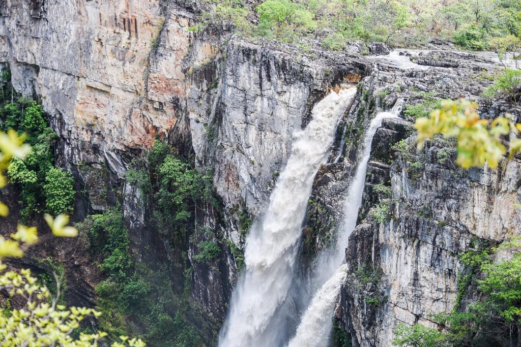 WhatsApp Image 2019-01-10 at 18.59.32 (11)