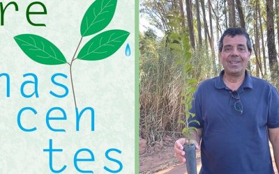 Projeto Re-Nascentes