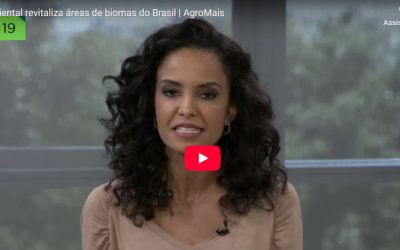 Projeto ambiental revitaliza áreas de biomas do Brasil | AgroMais