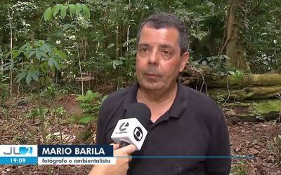 Fotógrafo Mário Barila concede entrevista à Globo sobre criação de santuário de Samaúmas
