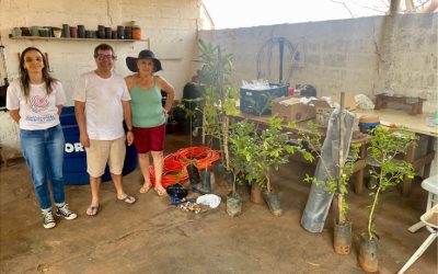 Projeto visita RP para plantar árvores após incêndio florestal