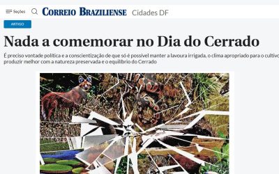 Correio Braziliense publica artigo de Mário Barila sobre o Cerrado