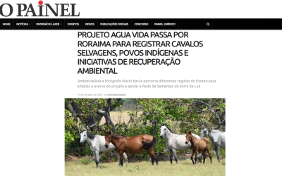 Projeto água vida passa por roraima para registrar cavalos selvagens, povos indígenas e iniciativas de recuperação ambiental
